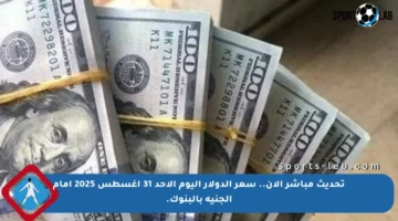 تحديث مباشر الآن.. سعر الدولار اليوم الأحد 31 أغسطس 2025 أمام الجنيه بالبنوك.